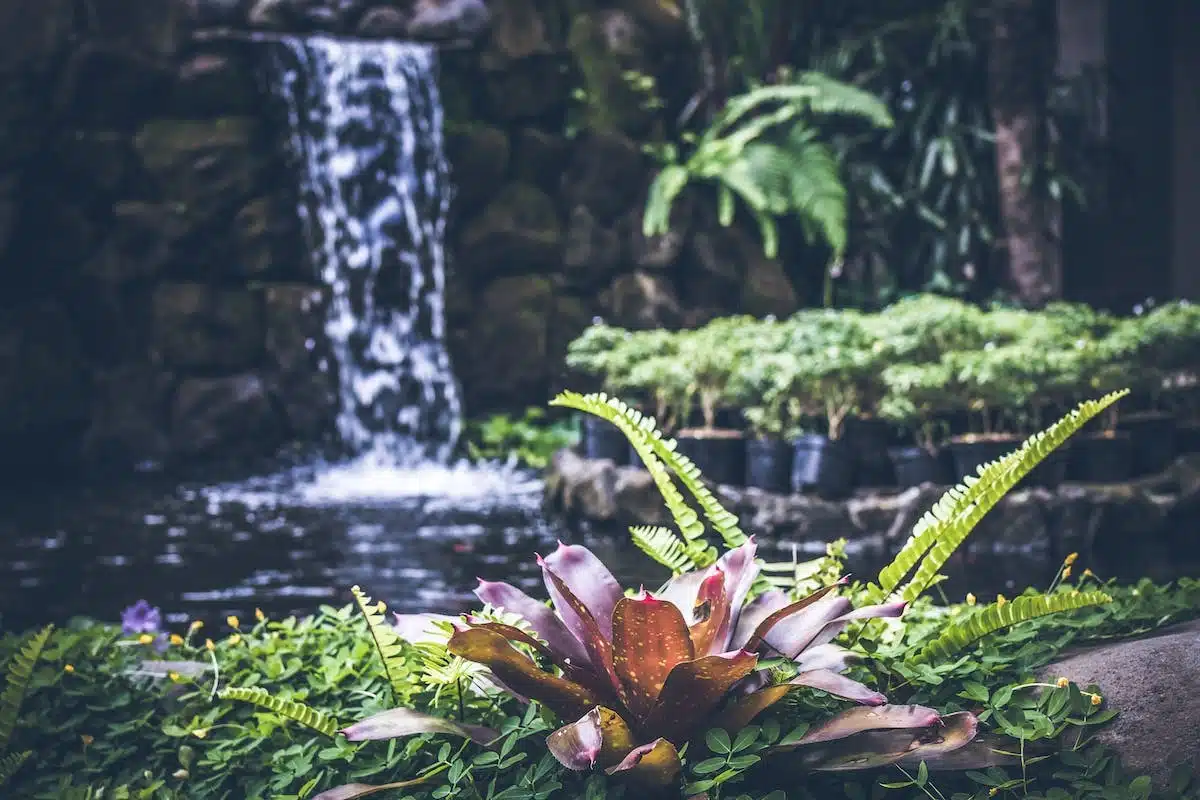 jardin détente