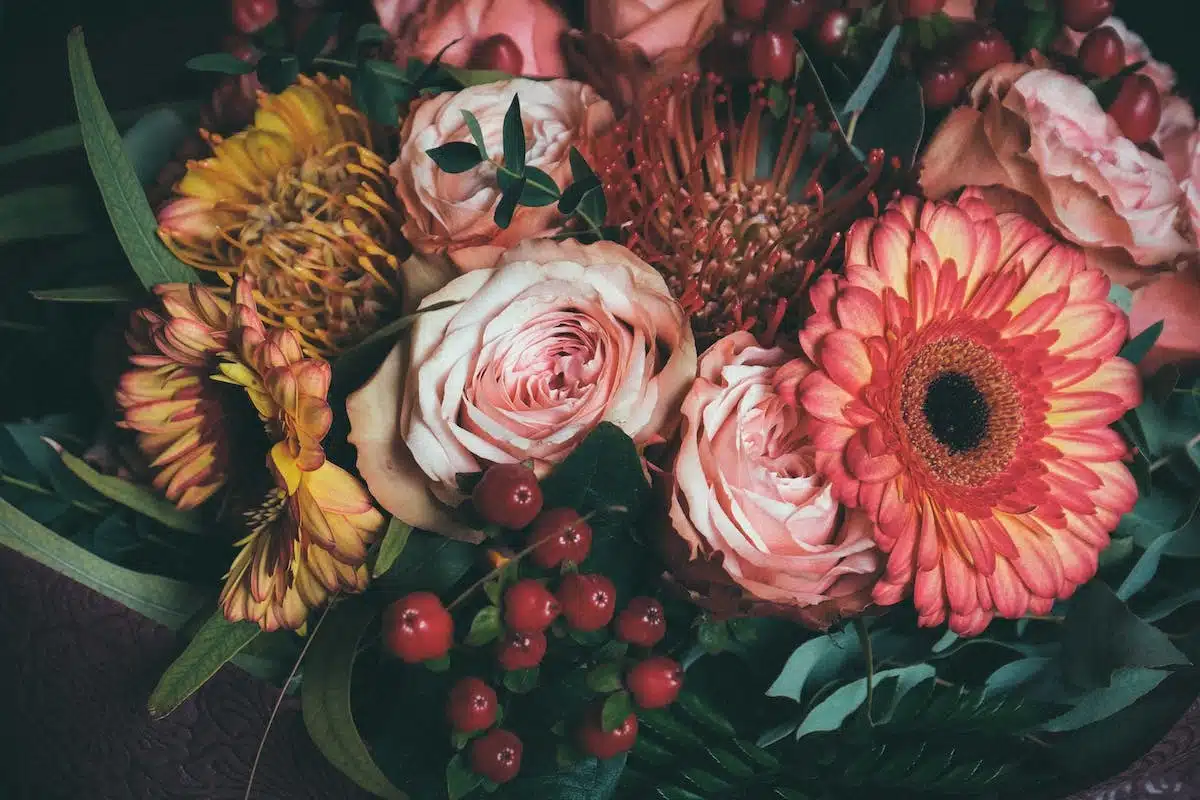 fleurs d automne