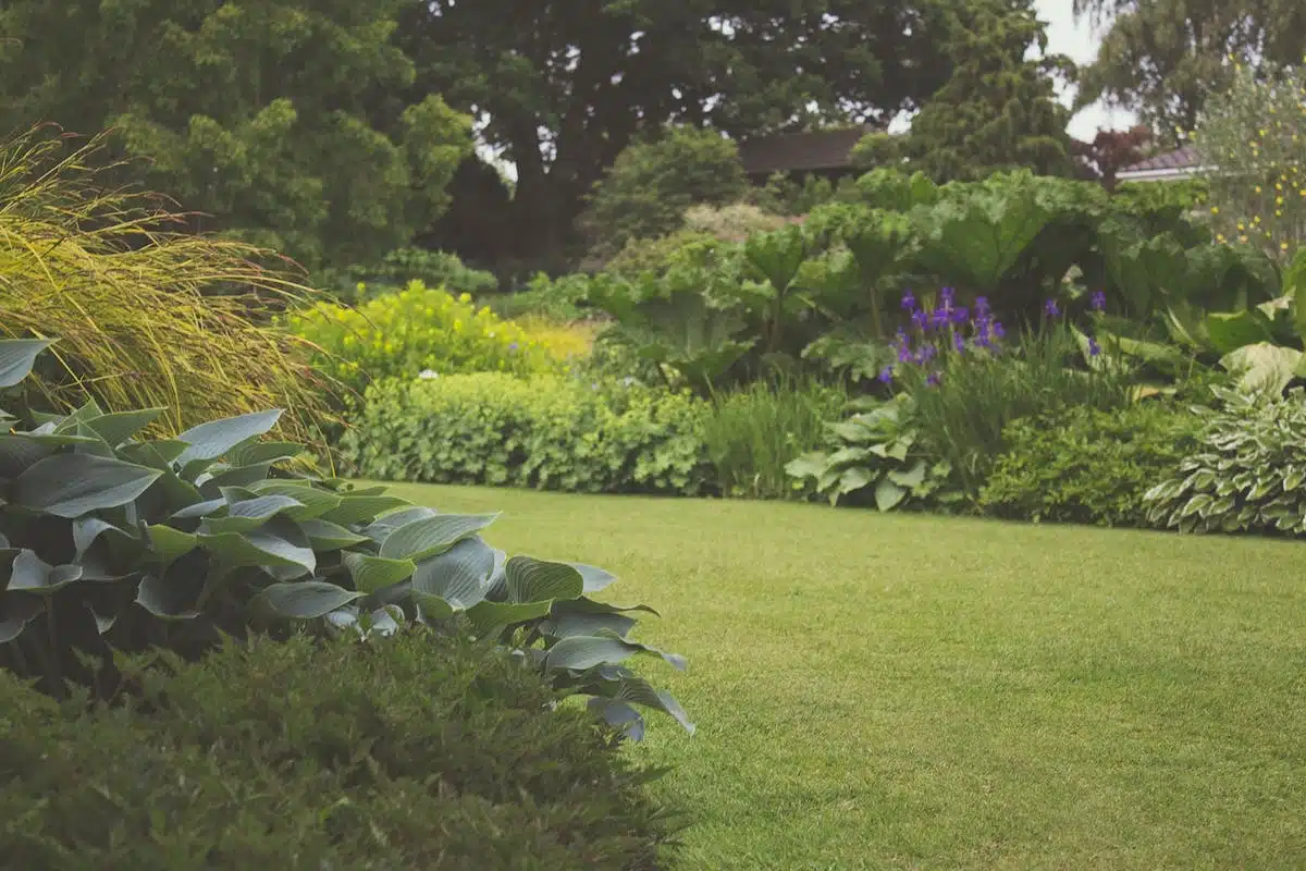 jardin durable