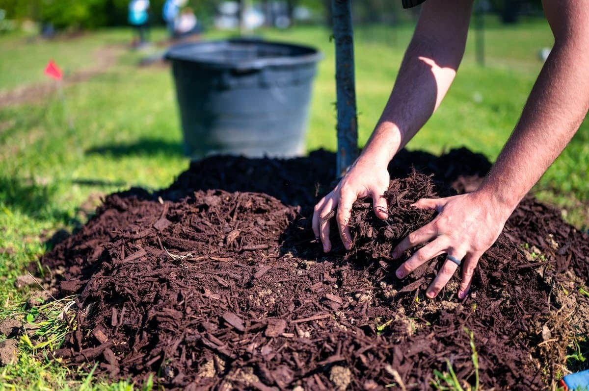 lombricomposteur  jardinage