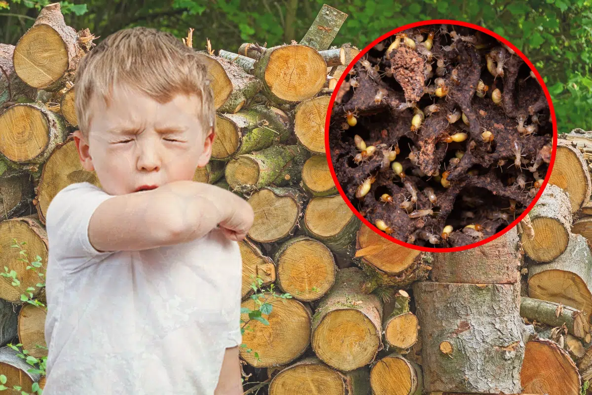 enfant qui tousse devant un tas de bois