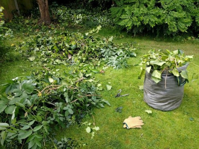 Que faire de ses déchets verts