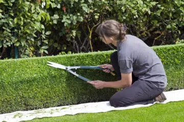 Comment joindre un jardinier rapidement ?