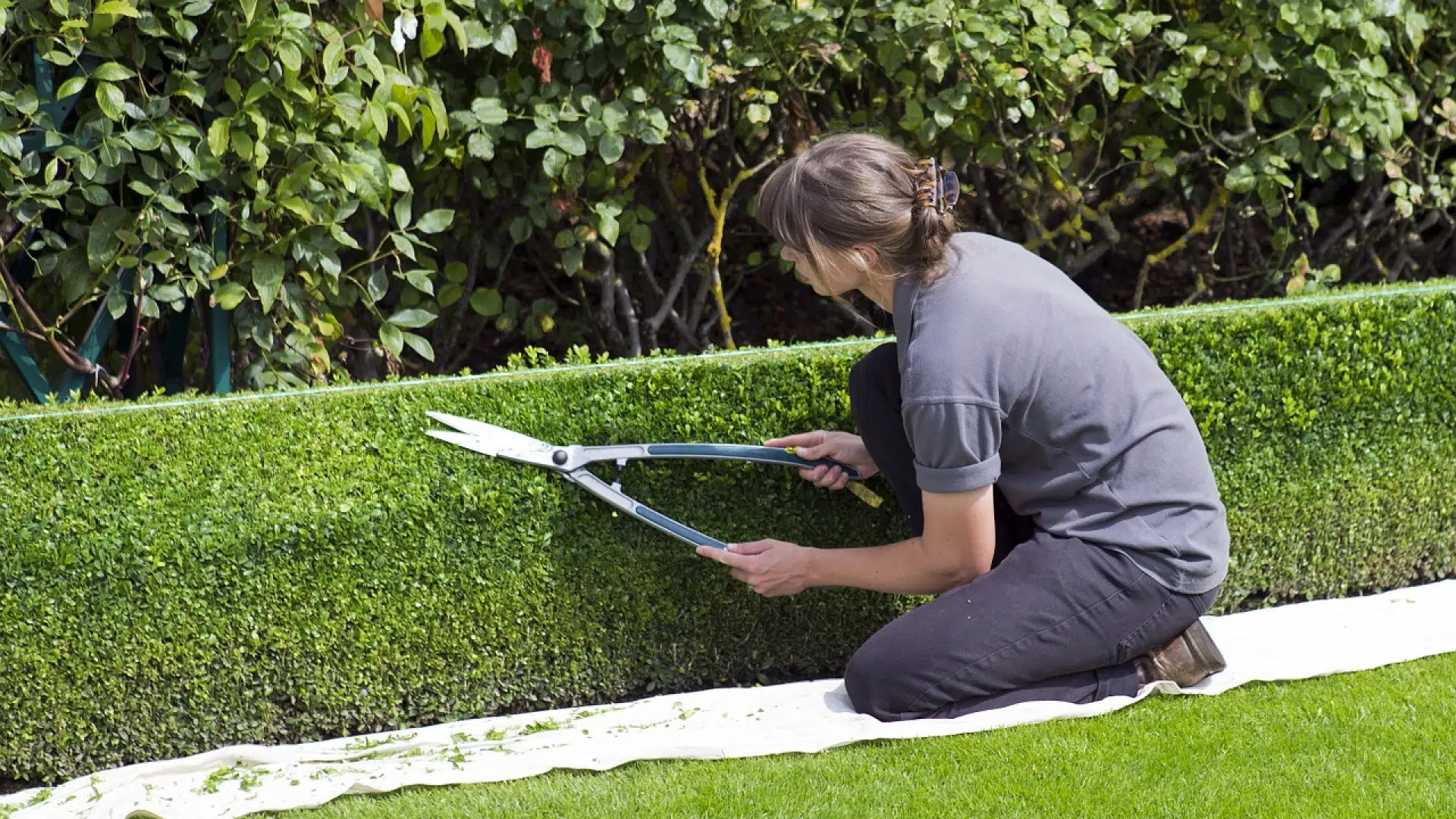 Comment joindre un jardinier rapidement ?