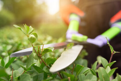 Déléguer l'entretien de son jardin : une bonne idée pour souffler (et économiser) ?