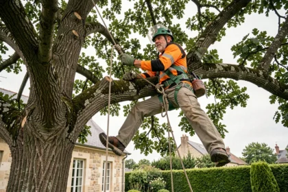 Élagueur professionnel en harnais de sécurité grimpant dans un chêne pour élaguer des branches dans un jardin de Poitiers