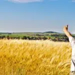 jeune agriculteur