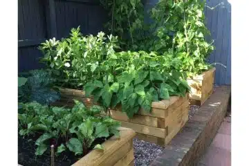 potager surélevé