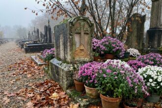 Tombe fleurie de chrysanthèmes violets et blancs dans un cimetière français à la Toussaint avec feuilles mortes au sol