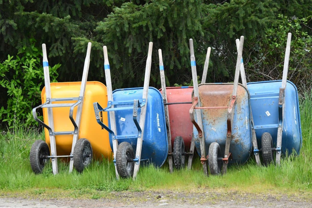 assorted-color wheelbarrows